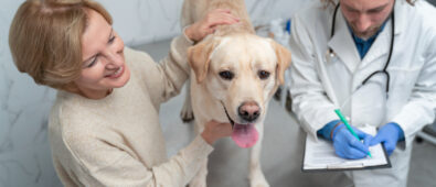 Profesjonalne szkolenia weterynaryjne – gwarancja sukcesu nowoczesnych praktyk