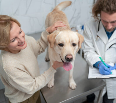 Profesjonalne szkolenia weterynaryjne – gwarancja sukcesu nowoczesnych praktyk